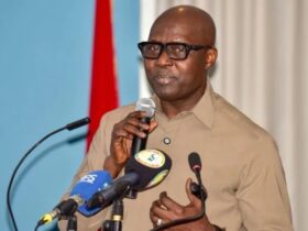 Mondial 2026 : Abdoulaye Fall révèle les dysfonctionnements qui ont conduit au naufrage des Lions de la Téranga