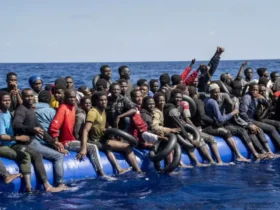 Transformer l'émigration africaine en moteur de développement : le défi du XXIᵉ siècle (2e Partie) Par Ndiawar Diop