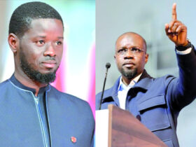 Diomaye-Sonko : la lutte des places, pas la lutte des idées. Par Ibrahima Thiam ACT