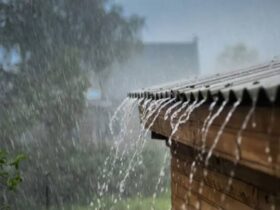Météo : l'ANACIM annonce des pluies orageuses sur une grande partie du Sénégal, la chaleur persiste au nord-est