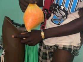 Karang : 1 590 pilules d’ecstasy cachées dans une prothèse de jambe, les Douanes déjouent un trafic inédit