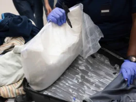 Affaire des 530 kg de khat à Chicago : l’itinéraire des trois Sénégalais reste à établir