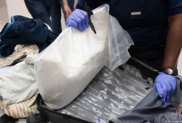 Affaire des 530 kg de khat à Chicago : l’itinéraire des trois Sénégalais reste à établir