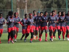 CAN féminine 2026 : le Malawi écrit l’histoire et défiera le Cameroun en finale