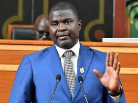 Conseil constitutionnel : trois revers pour Amadou Bâ, le bilan parlementaire du député de Pastef interroge