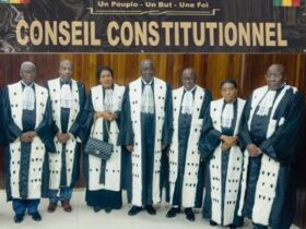 Crédits spéciaux : le Conseil constitutionnel tranche et inflige un revers majeur à la proposition de loi de l’Assemblée