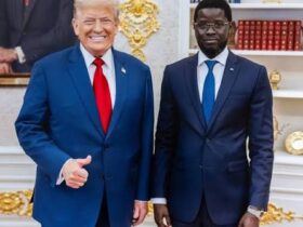 Ambassades américaines en Afrique : Dakar toujours sans ambassadeur alors que Washington relance les nominations
