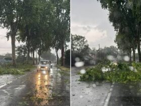 Intempéries au Sénégal : fortes pluies et rafales jusqu’à 80 km/h, plusieurs dégâts signalés
