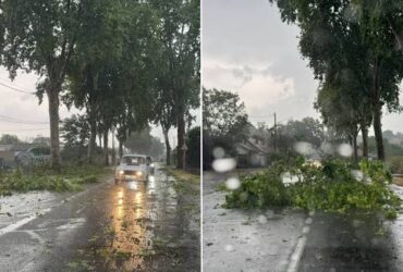 Intempéries au Sénégal : fortes pluies et rafales jusqu’à 80 km/h, plusieurs dégâts signalés