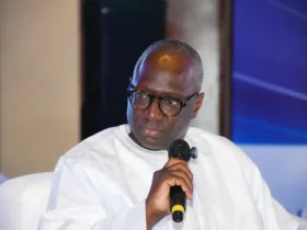 Guinée : l’ancien ministre Mabouba Diagne au cœur d’un ambitieux projet d’amélioration du cheptel bovin