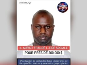 Montréal : un Sénégalais accusé d’une fraude présumée de plus de 100 millions FCFA à l’aide sociale