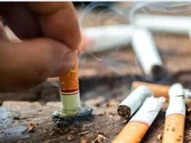 Fiscalité du tabac : le Sénégal lance SimTax pour mesurer l’impact des futures hausses d’impôts