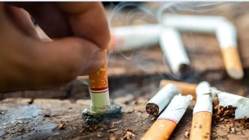 Fiscalité du tabac : le Sénégal lance SimTax pour mesurer l’impact des futures hausses d’impôts