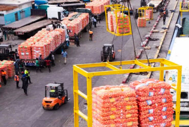 Oignon au Sénégal : la réouverture des importations ravive la colère des producteurs