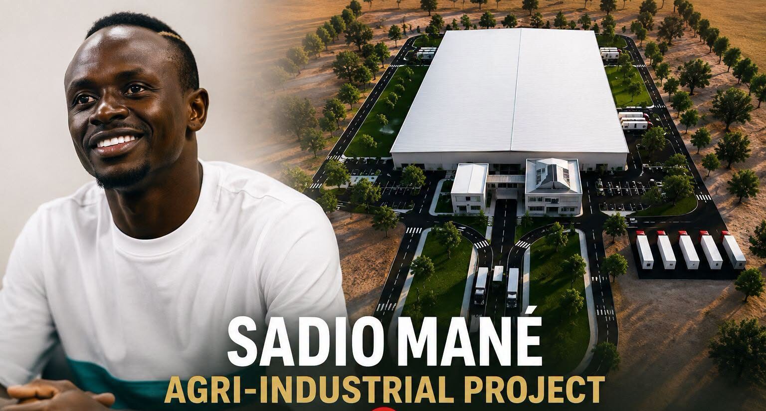 Sadio Mané mise 11,7 milliards sur Bambali : un futur géant de la mangue pour créer plus de 1 000 emplois