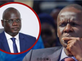 Ressources naturelles : Waly Diouf Bodiang charge Abdourahmane Diouf et met en doute sa méthode