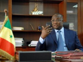 Élections locales au Sénégal : Makhtar Cissé évoque fin 2027, mais le calendrier reste incertain