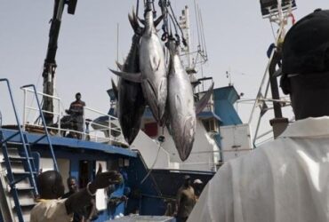 Licences de pêche au Sénégal : les députés ouvrent l’enquête, les anciens directeurs face aux questions