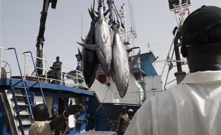 Licences de pêche au Sénégal : les députés ouvrent l’enquête, les anciens directeurs face aux questions