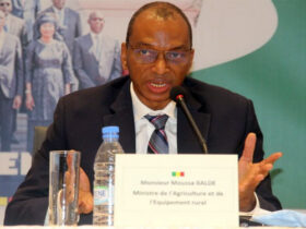 « Un étudiant, un ordinateur » : Moussa Baldé rejoint Cheikh Oumar Anne et Abdoulaye Daouda Diallo et refuse son audition parlementaire