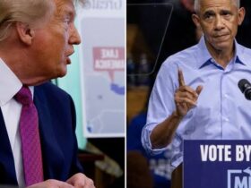 Midterms américaines : Obama charge Trump, la riposte du président ne se fait pas attendre