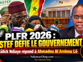 DIOMAYE CONTRE SONKO : LE GRAND CIRQUE DU POUVOIR, ET LE PEUPLE PAIE LE BILLET ! Par Ndiawar Diop