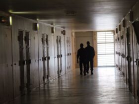Trafic de drogue : 21 suspects devant la justice, un réseau piloté depuis une prison de Meaux jusqu’à la Californie