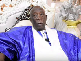 L’aiguille et le Baobab : Mansour, le protocole du cœur national